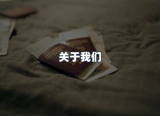 关于我们
